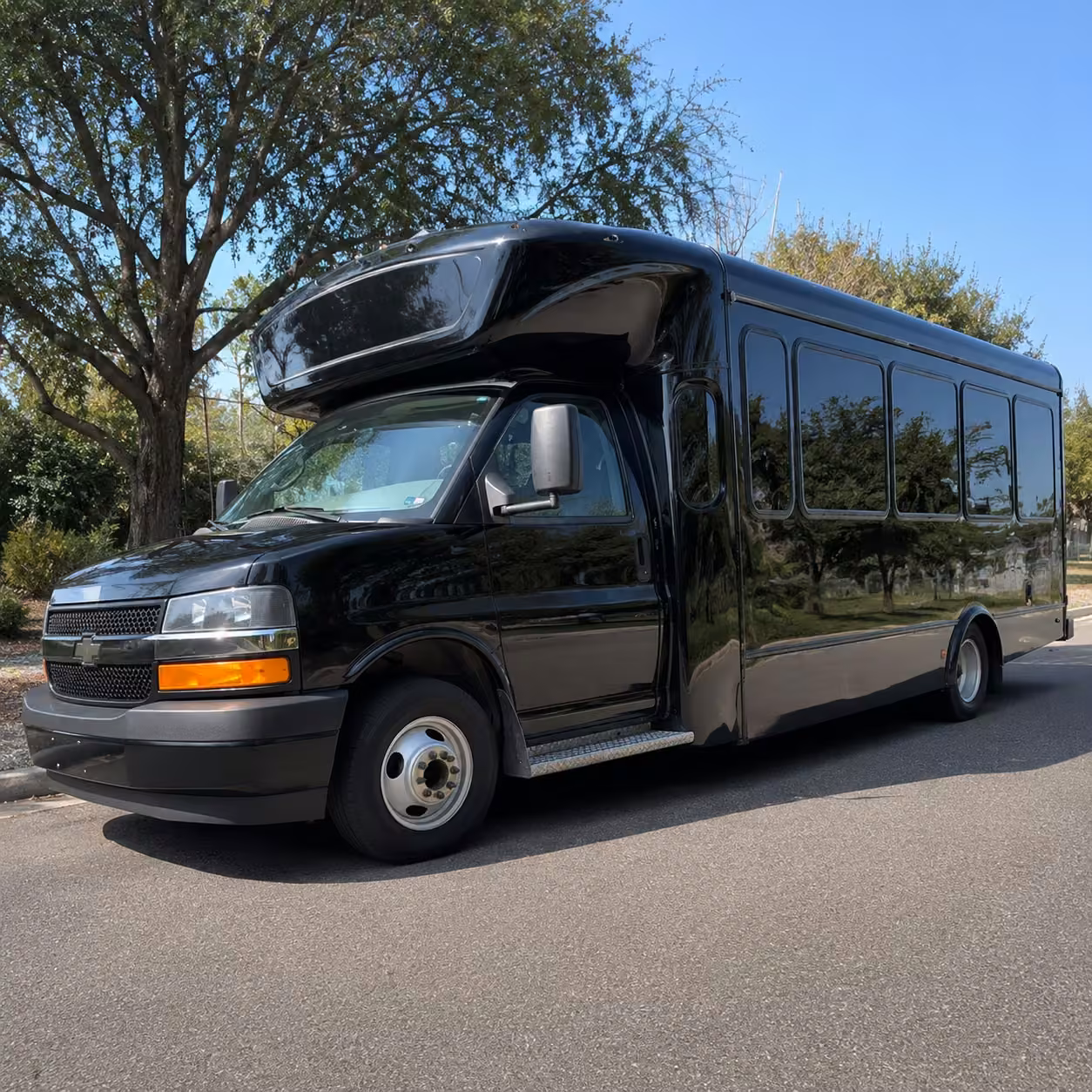 20 passenger party bus